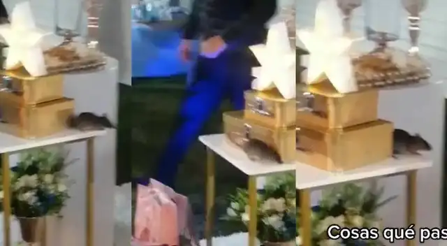 TikTok: Quinceañero es interrumpido por 'visitante roedor' que atemorizó a invitados