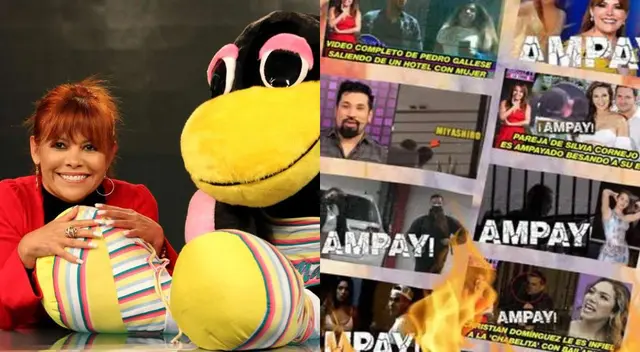 Magaly Tv La Firme: conoce cuál es la diferencia entre 'chacal' y 'urraco' Magaly Tv La Firme: conoce cuál es la diferencia entre 'chacal' y 'urraco'