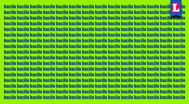 No te tomará más de 5 minutos resolver este reto visual de palabras similares. No te tomará más de 5 minutos resolver este reto visual de palabras similares.