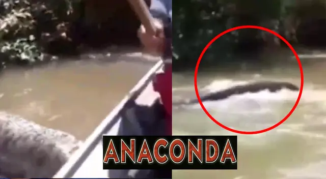 No es una escena de la película, sucedió en la vida real y el video es viral en redes sociales. No es una escena de la película, sucedió en la vida real y el video es viral en redes sociales.