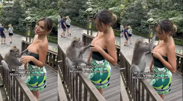 Paula Manzanal fue agredida por un mono que intentó quitarle su blusa. Paula Manzanal fue agredida por un mono que intentó quitarle su blusa.