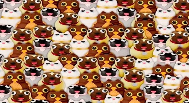 Tienes 5 segundos para superar el reto visual de hoy. Tienes 5 segundos para superar el reto visual de hoy.