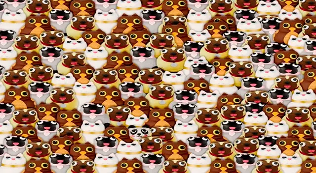 reto visual reto visual