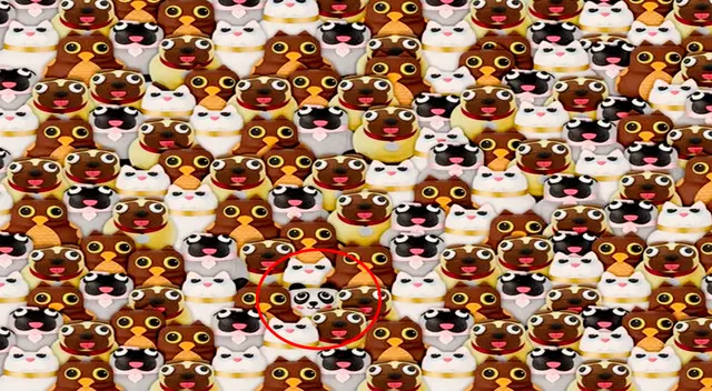 Solución del reto visual Solución del reto visual