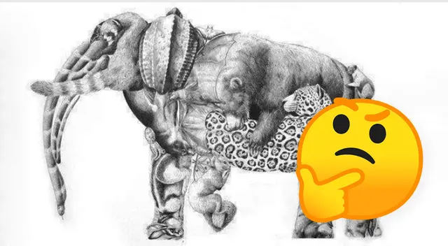 ¿Cuántos animales forman este elefante? Completa este reto visual en 12 segundos ¿Cuántos animales forman este elefante? Completa este reto visual en 12 segundos