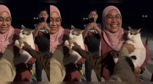 Viral: Gatito se aferra a su peluche y enternece a miles de usuarios