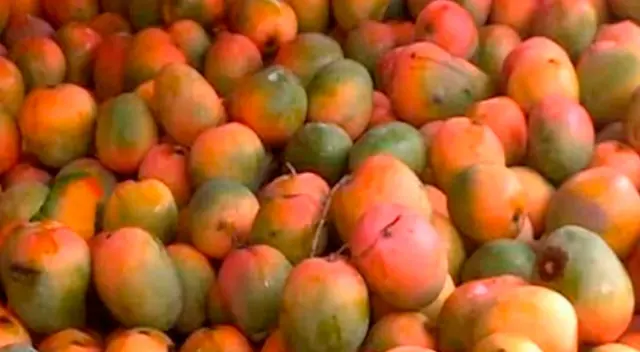 ¿Ves al lorito oculto entre los mangos? Solo si eres inteligente podrás ubicarlo en segundos ¿Ves al lorito oculto entre los mangos? Solo si eres inteligente podrás ubicarlo en segundos