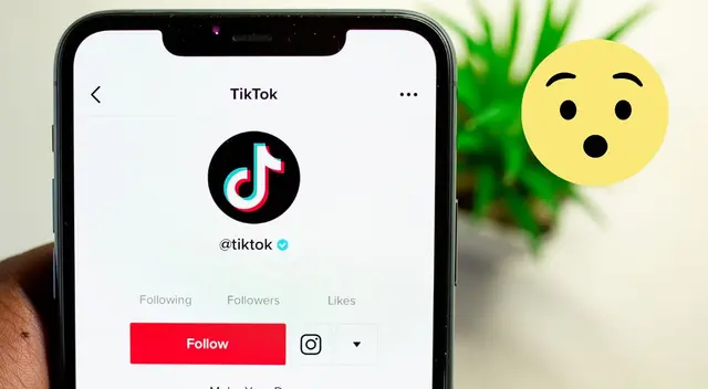 TikTok: ¿Cómo puedo recuperar mi cuenta tras un bloqueo? TikTok: ¿Cómo puedo recuperar mi cuenta tras un bloqueo?