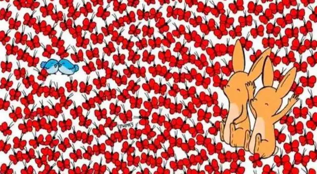 ¿Puedes encontrar los corazones ocultos? Solo el 1 % logró resolver este reto en 8 segundos
