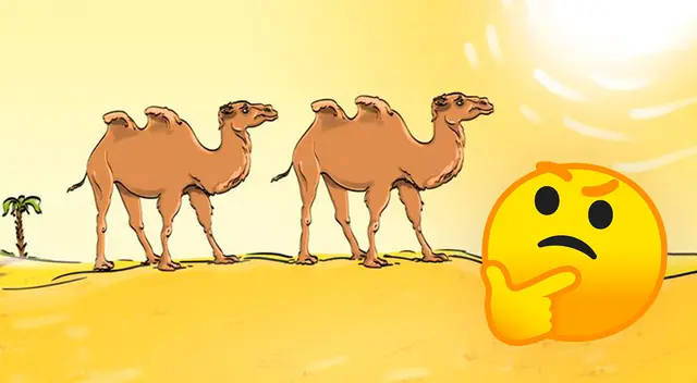 Reto visual para los más VELOCES: ¿Qué pasa con estos camellos? Menos del 8% lo resolvió Reto visual para los más VELOCES: ¿Qué pasa con estos camellos? Menos del 8% lo resolvió