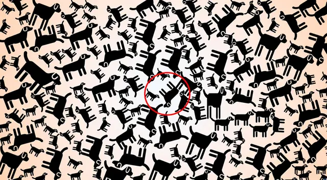 Ubicación del perrito 'sin cola'   