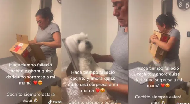 TikTok: mujer rompió en llanto tras recibir peluche de su perrito fallecido - VIDEO TikTok: mujer rompió en llanto tras recibir peluche de su perrito fallecido - VIDEO