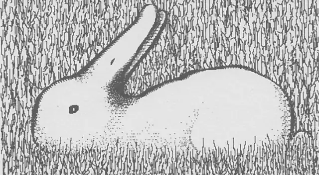 Solo tienes 7 segundos para resolver este reto visual. Solo tienes 7 segundos para resolver este reto visual.