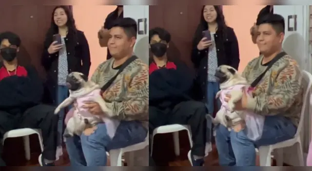 TikTok: Joven lleva a su bendición perruna a fiesta infantil y se vuelve viral