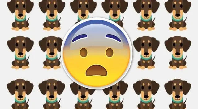 ¿Cuál de estos cachorros es distinto? Demuestra tus habilidades y hállalo en 6 segundos ¿Cuál de estos cachorros es distinto? Demuestra tus habilidades y hállalo en 6 segundos