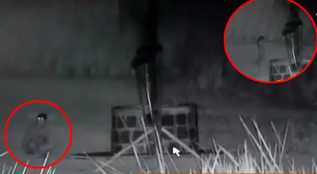 Cámara capta a 'niño fantasma' en laguna de Urcos y este sufre 'transformación' al ser descubierto Cámara capta a 'niño fantasma' en laguna de Urcos y este sufre 'transformación' al ser descubierto