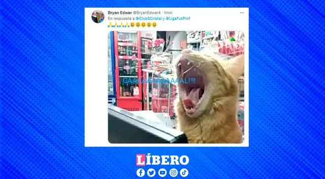 Las mascotas también celebraron con los golazos de Sporting Cristal.