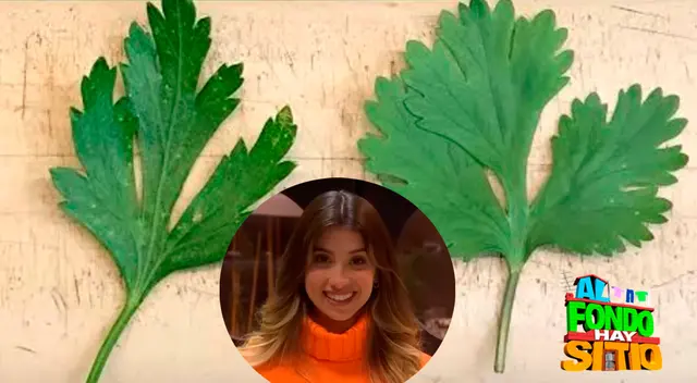 ¿Cuál es la diferencia entre culantro y perejil? Personaje de AFHS te lo revela de forma sencilla