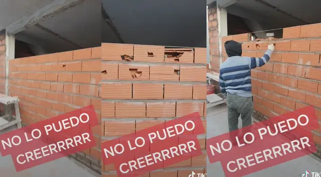 Albañil construye pared de ladrillos sin cemento y dueño se enoja Albañil construye pared de ladrillos sin cemento y dueño se enoja