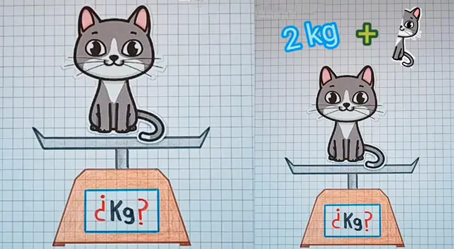 ¿Cuánto pesa el gato? El acertijo matemático que ha dejado confundido a más de uno ¿Cuánto pesa el gato? El acertijo matemático que ha dejado confundido a más de uno