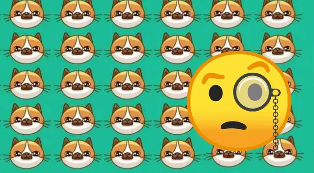 ¿Cuál de estos gatitos es distinto a los demás? Solo cuentas con 8 segundos para ubicarlo