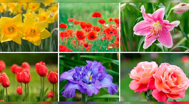 Este test de personalidad te dejará totalmente asombrado Este test de personalidad te dejará totalmente asombrado