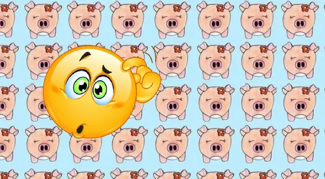 ¿Cuál de estos cerditos es diferente a los demás? Más del 90% se rindió ante este desafío ¿Cuál de estos cerditos es diferente a los demás? Más del 90% se rindió ante este desafío