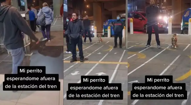 ¡Al mismo estilo que Hachiko! Perro espera a su dueña en estación del tren - VIDEO ¡Al mismo estilo que Hachiko! Perro espera a su dueña en estación del tren - VIDEO