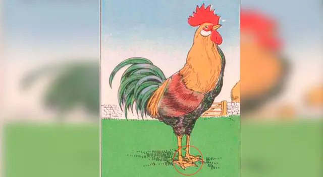 La solución era más sencilla de lo que aparentaba   