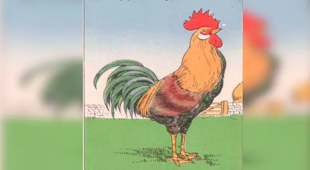 ¿Podrás hallar el error en segundos?   