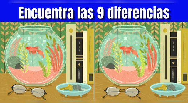 Reto visual: Encuentra las 9 diferencias en 15 segundos y demuestra que eres un GENIO