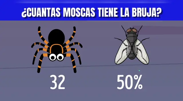 Acertijo solo para INTELIGENTES: Descubre cuántas moscas tiene la bruja en 6 segundos