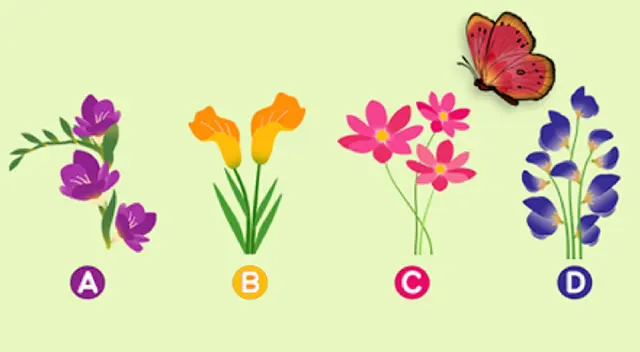 Dinos la flor que más te llamo la atención y descubre si eres feliz