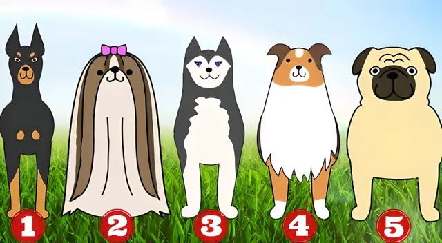 ¿Si te reencarnaras en un perro qué raza serías? Resuelve este test y conoce más sobre ti ¿Si te reencarnaras en un perro qué raza serías? Resuelve este test y conoce más sobre ti