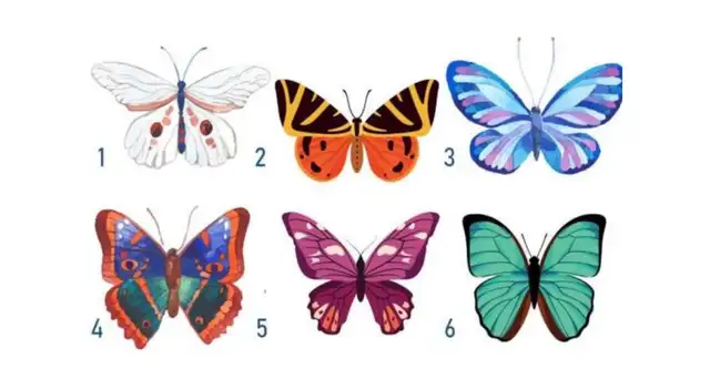 Elige una mariposa y descubre un rasgo oculto de tu personalidad
