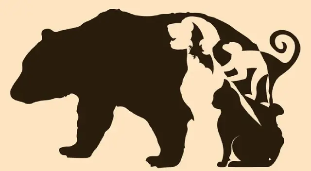 ¿Qué animal viste primero? ¿Qué animal viste primero?