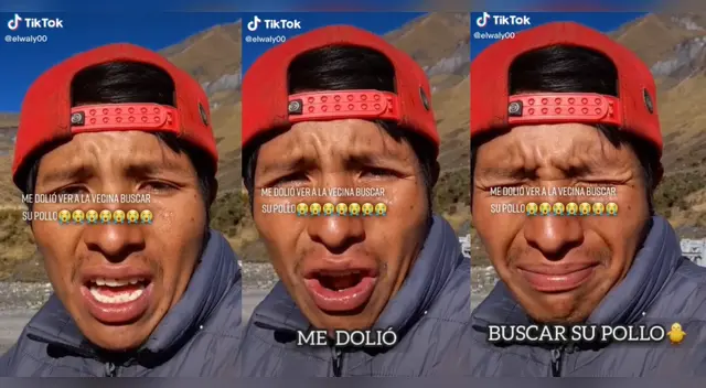 TikTok: Joven roba el pollo de su vecina para completar su almuerzo y redes estallan TikTok: Joven roba el pollo de su vecina para completar su almuerzo y redes estallan