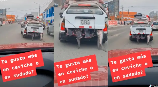 La manera en la que este carro transportaba pescado sorprendió a muchas personas La manera en la que este carro transportaba pescado sorprendió a muchas personas