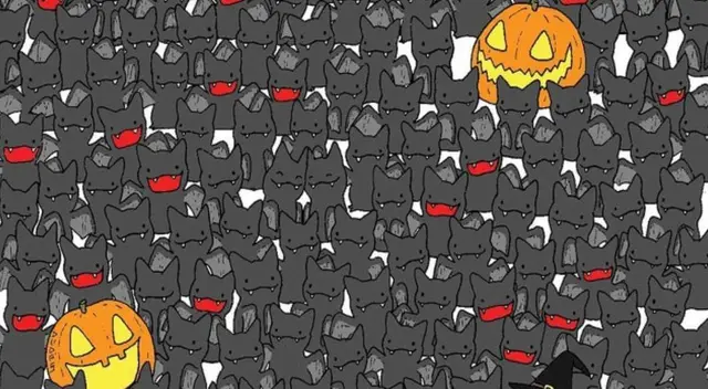 ¿Logras ver al gato disfrazado de murciélago? Resuelve este reto de Halloween en 6 segundos