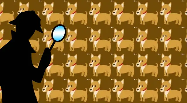 ¿Qué perros tienen un hueso detrás? Ubícalos en 8 segundos y sé parte del 2% que superó el reto