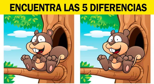 reto visual
