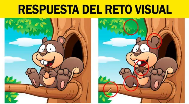 reto visual