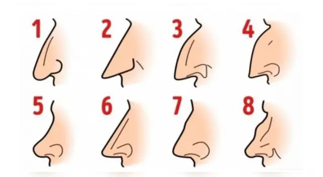 Test de personalidad: Elige una nariz parecida a la tuya y conoce algo nuevo de ti Test de personalidad: Elige una nariz parecida a la tuya y conoce algo nuevo de ti