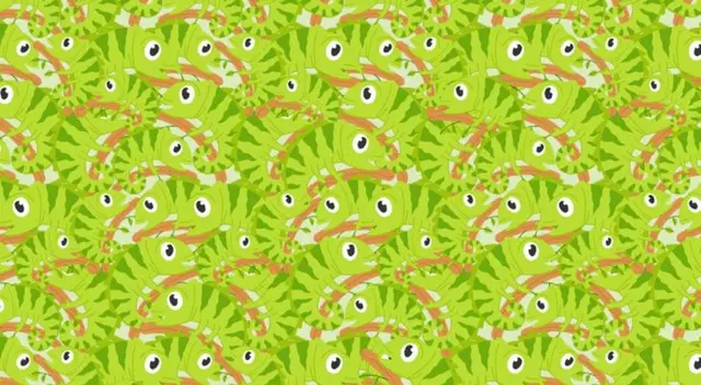 Reto visual nivel 'GENIO': encuentra al cocodrilo entre las iguanas en solo 5 segundos