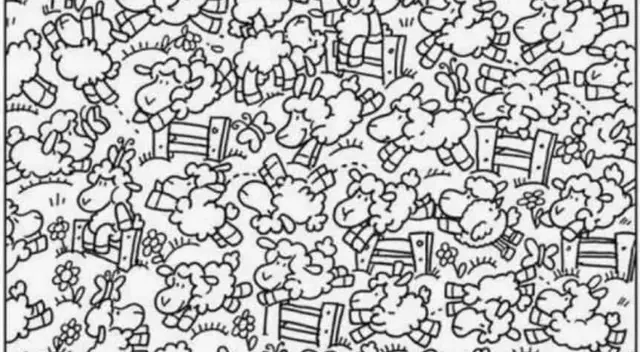 Reto visual: ¿Dónde está el pollito? Reto visual: ¿Dónde está el pollito?
