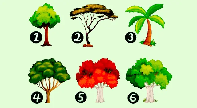 Elige un árbol y descubre a qué nivel están tus celos.