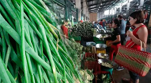 ¿Por qué la cebolla china con 'manchas azules' sería pejudicial? Conoce aquí la razón ¿Por qué la cebolla china con 'manchas azules' sería pejudicial? Conoce aquí la razón