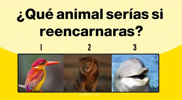 Resuelve este test de personalidad y conoce qué animal serías si reencarnaras Resuelve este test de personalidad y conoce qué animal serías si reencarnaras