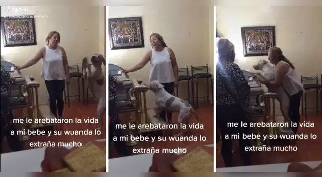 TikTok: Perrito se despide de su dueño y conmueve a usuarios de las redes sociales