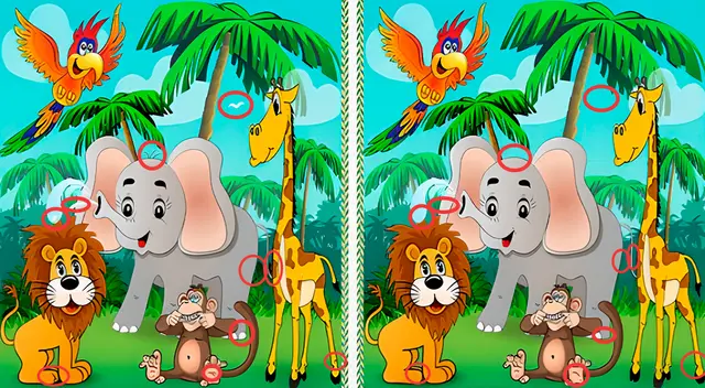 reto visual reto visual